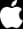 Apple Store Icon